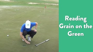 Reading the Grain on the Greens