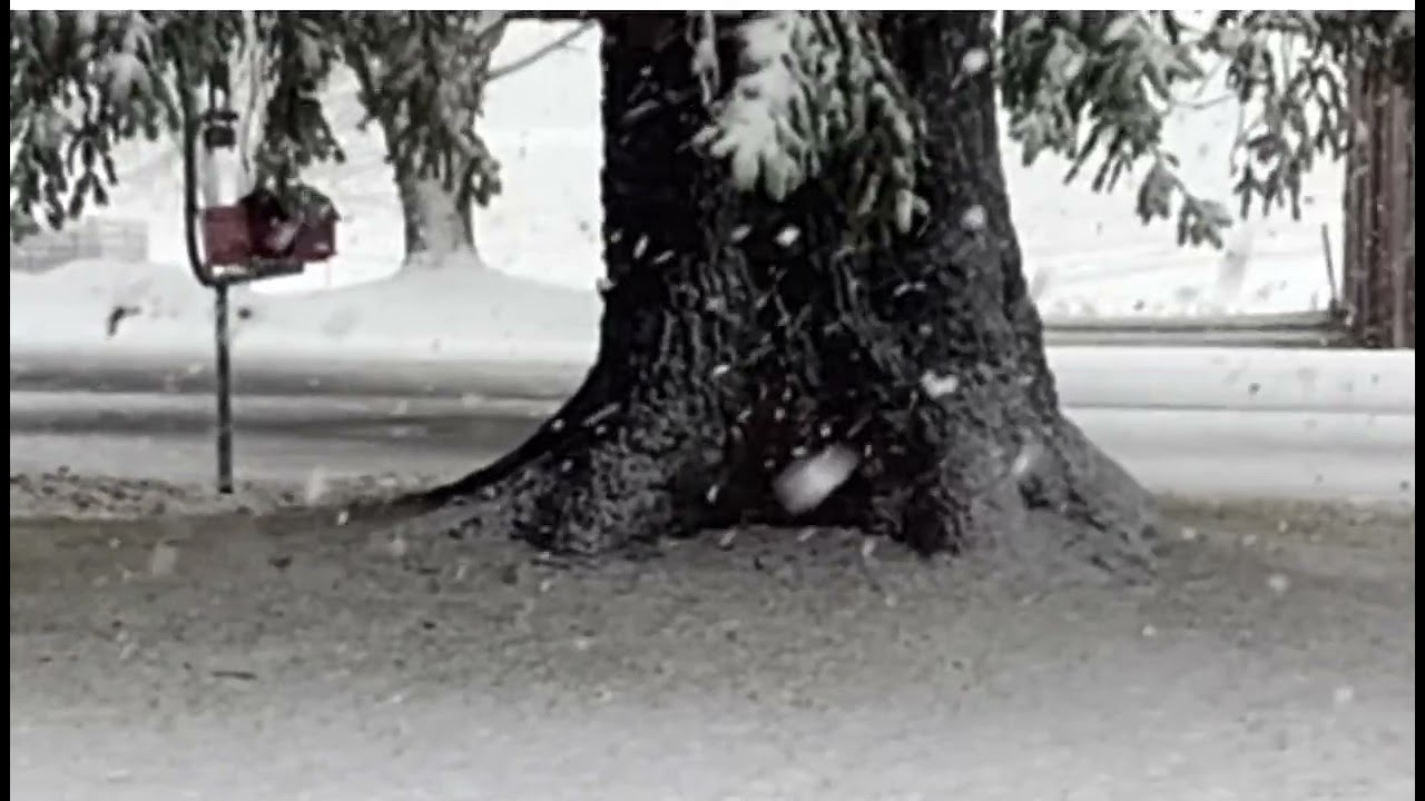 Golf ball snowflakes!￼