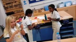 Mannequin Challenge - DIS -  Yr 7 (P) - DT Class - (Nov 2016)