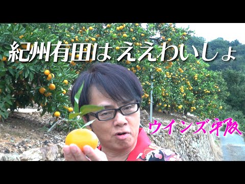 有田市PRソング「紀州有田は ええわいしょ」ウインズ平阪 (歌詞付きMV)