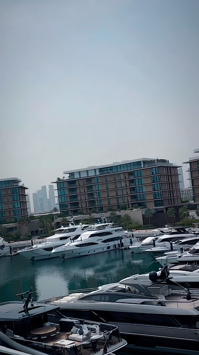 Kemewahan di Dubai ♥️🇦🇪🇮🇹 #1jutapenayangan #italia #restoran #fypシ゚viral #gaya hidupmewah #fyling
