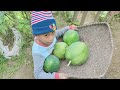 FARMING IDEAS/DISKARTE SA BUNDOK