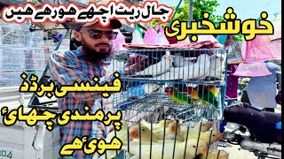 lalukhet bird Market new update 21-4-24 sunday bird market