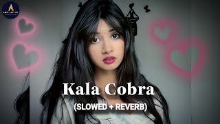 Kala cobar × lofi song × || bhojpuri song || slowed reverb Amit Lofi 75 video