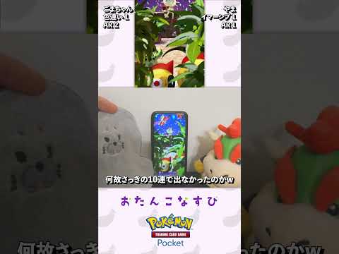 ごまちゃんとポケポケ開封 #120 #ポケモン #ポケポケ開封 #ゲーム実況  #アザラシ #新弾開封 #夢幻パレード