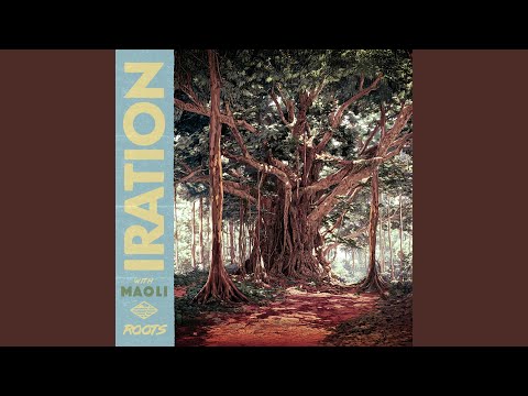 Mira Roots en YouTube Mira Roots en YouTube