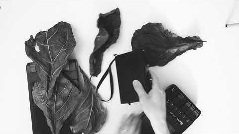 Dead Leaves (tape loop ambient noise asmr improvisation)