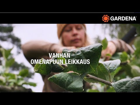 Video: Puutarhaleikkurit (30 Kuvaa): Sähkömallit Pensaiden Leikkaamiseen, Gardena- Ja Fiskars -merkkien Ominaisuudet