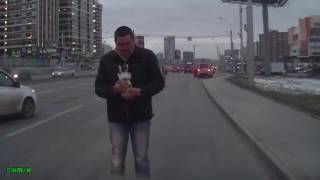 Новосибирск. Котенок на дороге Новосибирск. Котенок на дороге