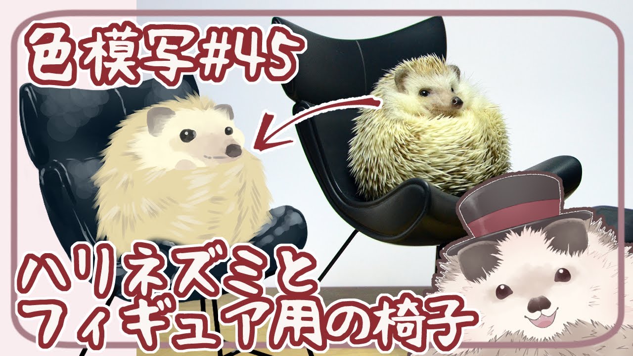 一緒に朝活】ハリネズミと椅子で色模写【ゆる～くお絵描き】 - YouTube