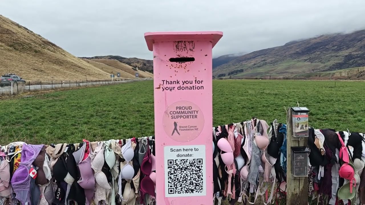 Bradrona NZ | The Famous Cardrona Bra Fence