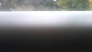 I Killed Zoopals In Gchord Major 4 In G Major 7 In G Major 6 In Lost Effect In G Major In G Major 16