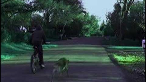 I Am The Cheese Trailer