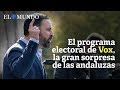 El programa electoral de Vox