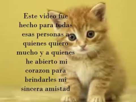 Para todos Mis amigos de corazon - YouTube