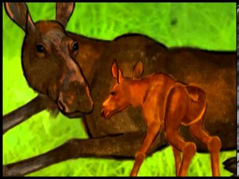 "Первый Урок" мультфильм. режиссер Вячеслав Сикора