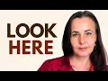 Stop Searching. Start Looking Here.
