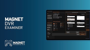 DVR Examiner 3 | Detection Results & Scan Options Screen