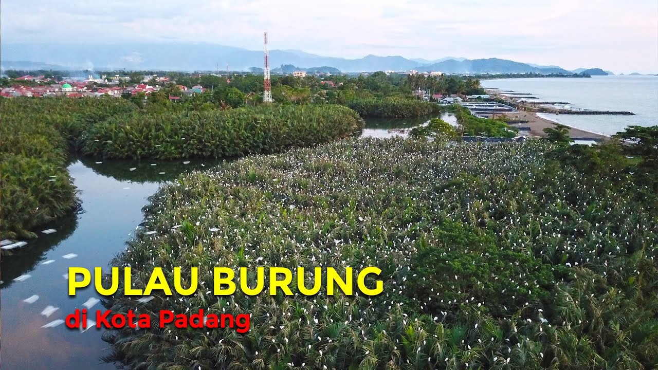  PULAU  BURUNG  di Kota Padang YouTube