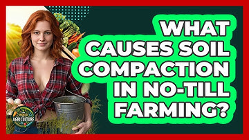 What Causes Soil Compaction In No-till Farming? - The World of Agriculture