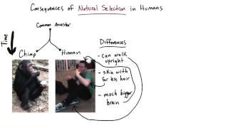 Consequences for humans - Intro to Psychology