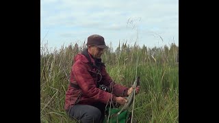 картинка: Осінній жор ОКУНЯ, на УЛЬТРАЛАЙТ і мікро джиг, і влетів не поганий бонус. Рибалка на спінінг.