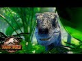Blue Sets a Trap| Jurassic World Camp Cretaceous Season 5 Clip
