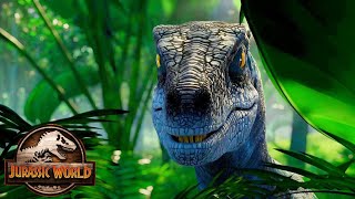 Blue Sets A Trapdilophosaurus Ambush Juric World Camp Cretaceous Season 5 Clip