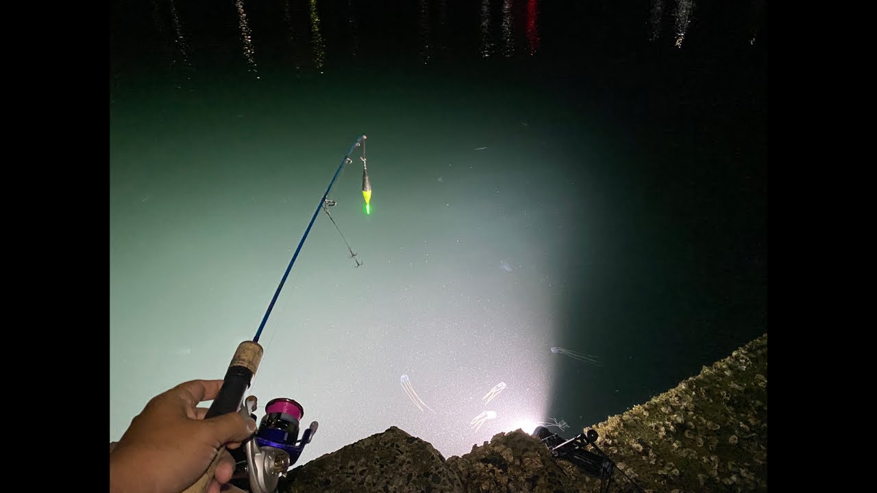 【配信】海の異変チェック３日目