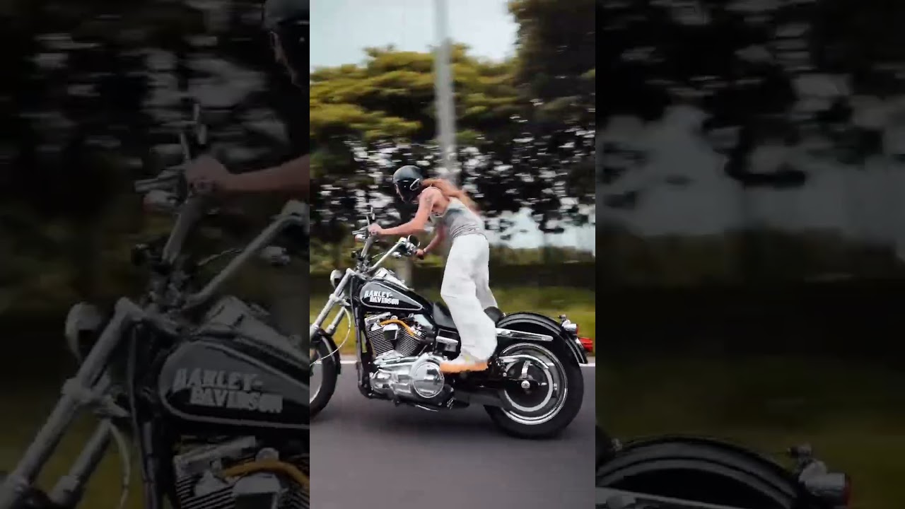 Japan chopper harleydavidson 