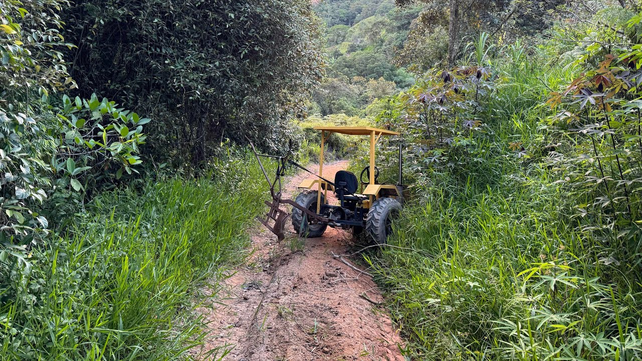 TENTEI DESCER DO TERRÃO COM O MINI TRATOR SEM FREIO E O PIOR ACONTECEU. Thiago velho 