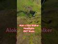 Alok X Alan Walker Headlights EMT Music Remix 2025 Alok X Alan Walker Headlights EMT Music Remix 2025