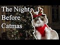 The Night Before Catmas (A Night Before Christmas Parody)
