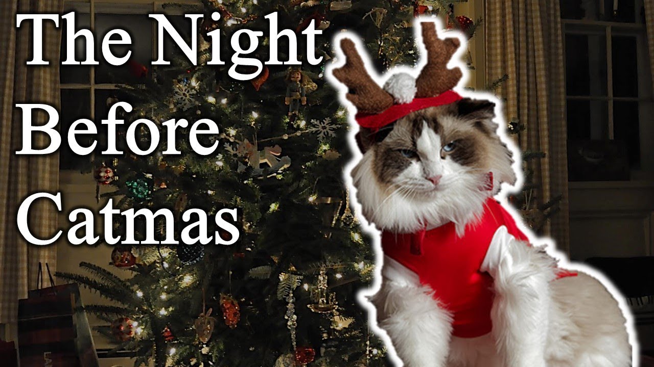 The Night Before Catmas (A Night Before Christmas Parody) - YouTube