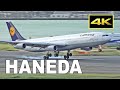 [4K] 1 Hour 53 Jets Plane Spotting at Tokyo Haneda Airport  34L / 羽田空港 JAL ANA