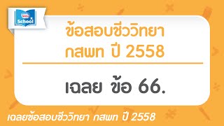 ข้อสอบชีววิทยา กสพท ปี2558 : ข้อ66