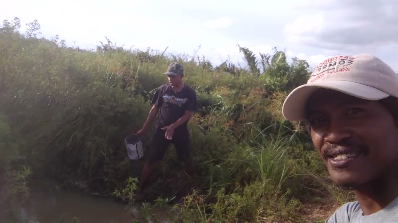 Penasaran isinya Ada Apa aja