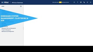 Embedded System Management - Clustering and System Data Synchronization: MiVoice Business Wealth