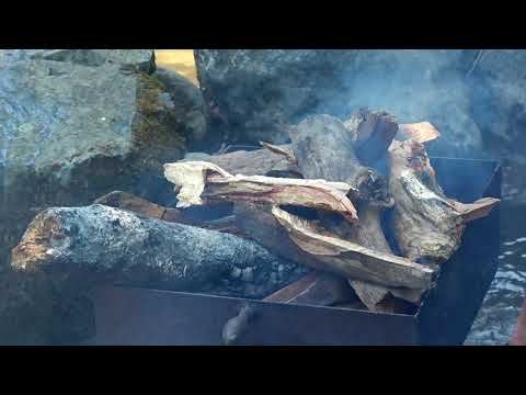 Lugela ლუგელა ,,მუხური,,