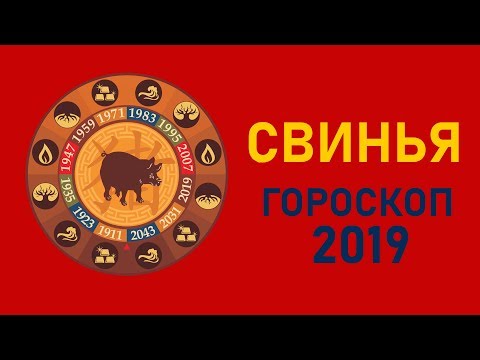 Свинья в год Свиньи. Восточный гороскоп на 2019 год