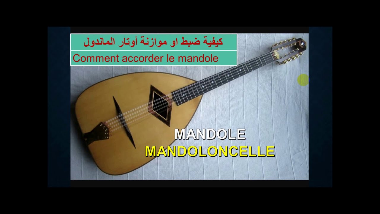 accordage du mandoloncelle  لمساوية لمشاهبية