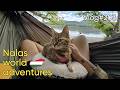 Vlog#203 Beautiful camping spot, Bike breaking and arriving into Budapest 🇭🇺❤️
