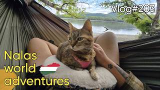 Vlog#203 Beautiful camping spot, Bike breaking and arriving into Budapest 🇭🇺❤️ screenshot 4