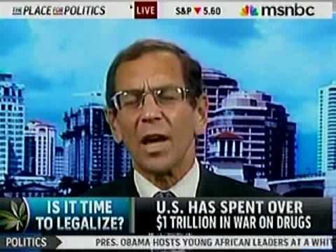 Fmr. Reagan Assoc. Atty. Gen. Bruce Fein Advocates for Legalizing Marijuana - justsaynow.com
