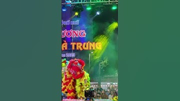 Huế khai trương phố đi bộ Hai Bà Trưng #shorts