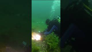 Come Scuba Dive Newfoundland With Us!      #scubadiving