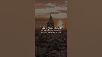 (فلله الحمد رب السموات ورب الارض ) بصوت الشيخ#أبو_بكر_الشاطري#سورة_الجاثية