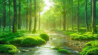 Beautiful relaxing music for stress relief - Relaxing music for spiritual healing & meditation #4