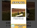 【ネコガミ】ボケテオドルPart99