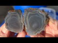 Exploring a New Spot in the Ochocos: Rockhounding Central Oregon for Agates, Jasper and Crystals